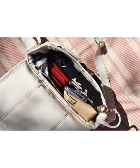 #2 gemsnapper's mini bag