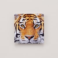 マグネットパズル - 虎