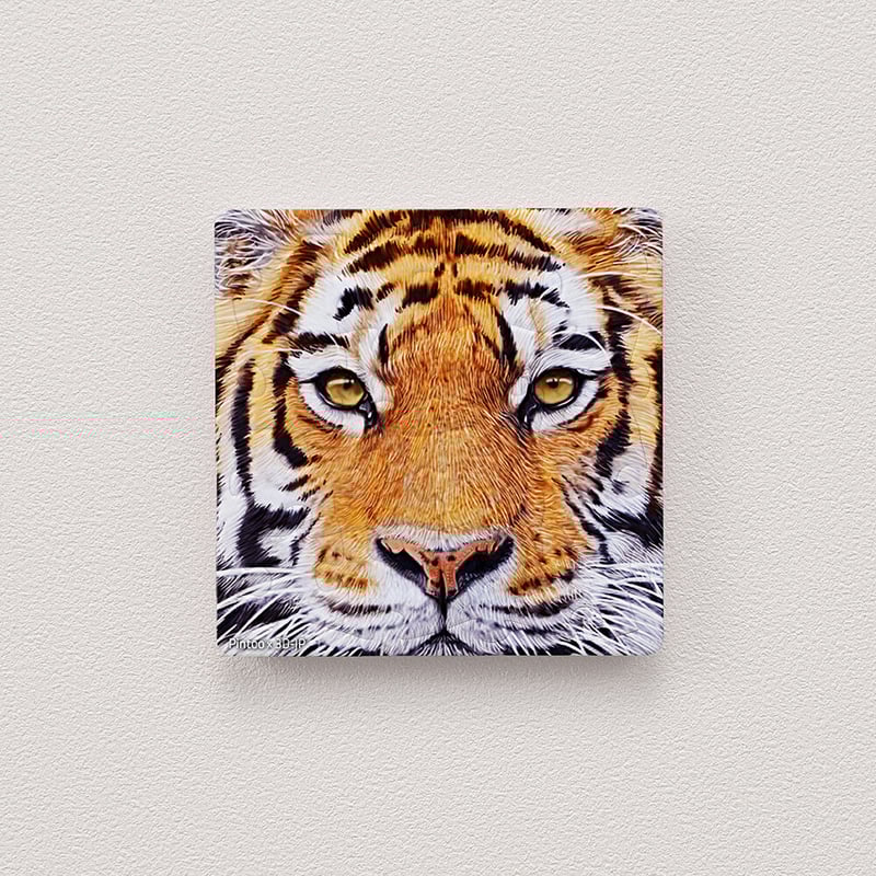 マグネットパズル - 虎 | MiLO OFFICIAL SHOP