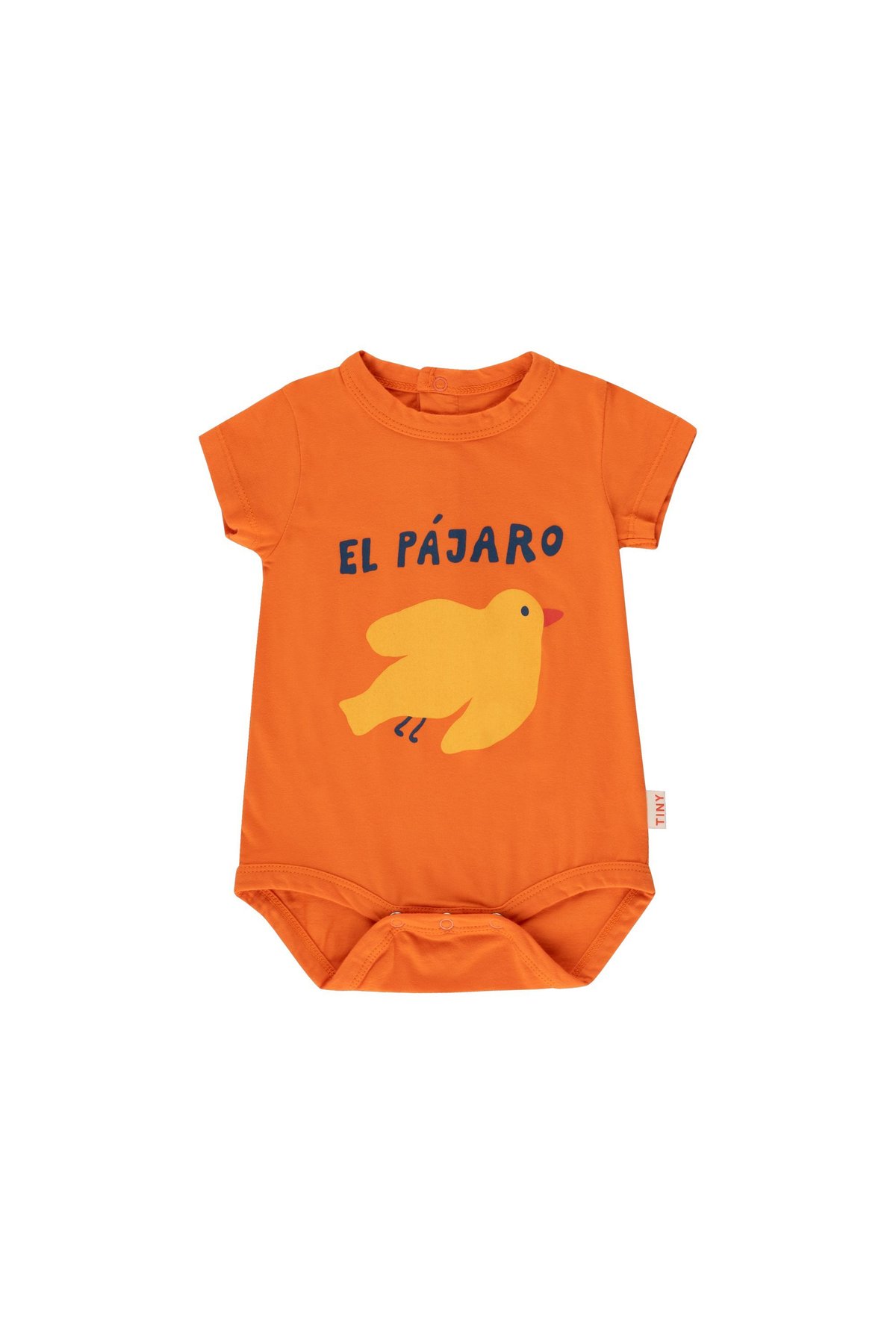 special price】6m TINY COTTONS - EL PAJARO BODY... タイニー