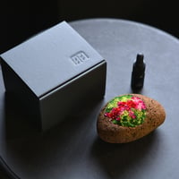 景色風 愁風 (new)