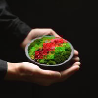 Tokiyawa KAMEHIKOWORKS 山のプリザーブドフラワー一輪挿し 藤の一輪挿し 水替え不要!!ガラス器アレンジ アートフラワー SEASON