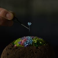 植えかえ（玉手箱 小）
