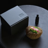 景色風 彩風 (new)