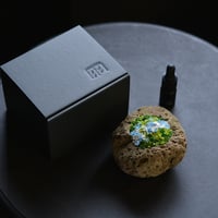 景色風 爽風 (new)