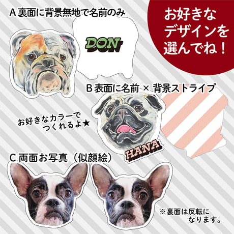 うちの子クッション