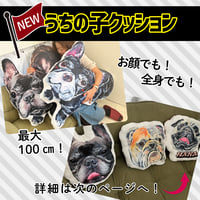 うちの子クッション