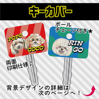 キーカバー