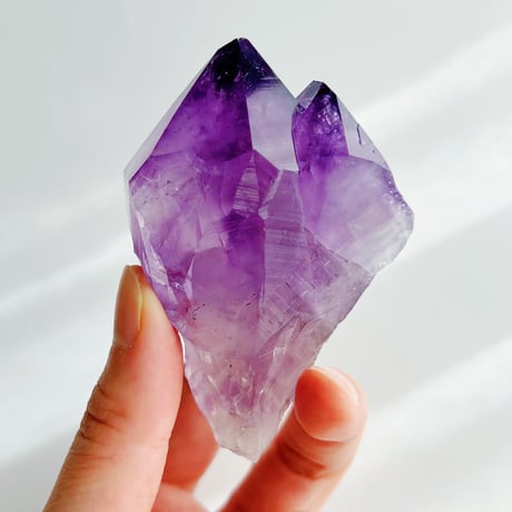 トライゴーニック | STORES