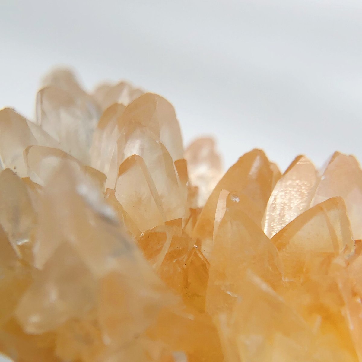 希少！犬牙状カルサイト共生のセレスティン特大クラスター標本 希少！犬牙状カルサイト共生のセレスティン特大クラスター標本