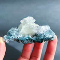 【虹入り】アポフィライト 母岩付き
