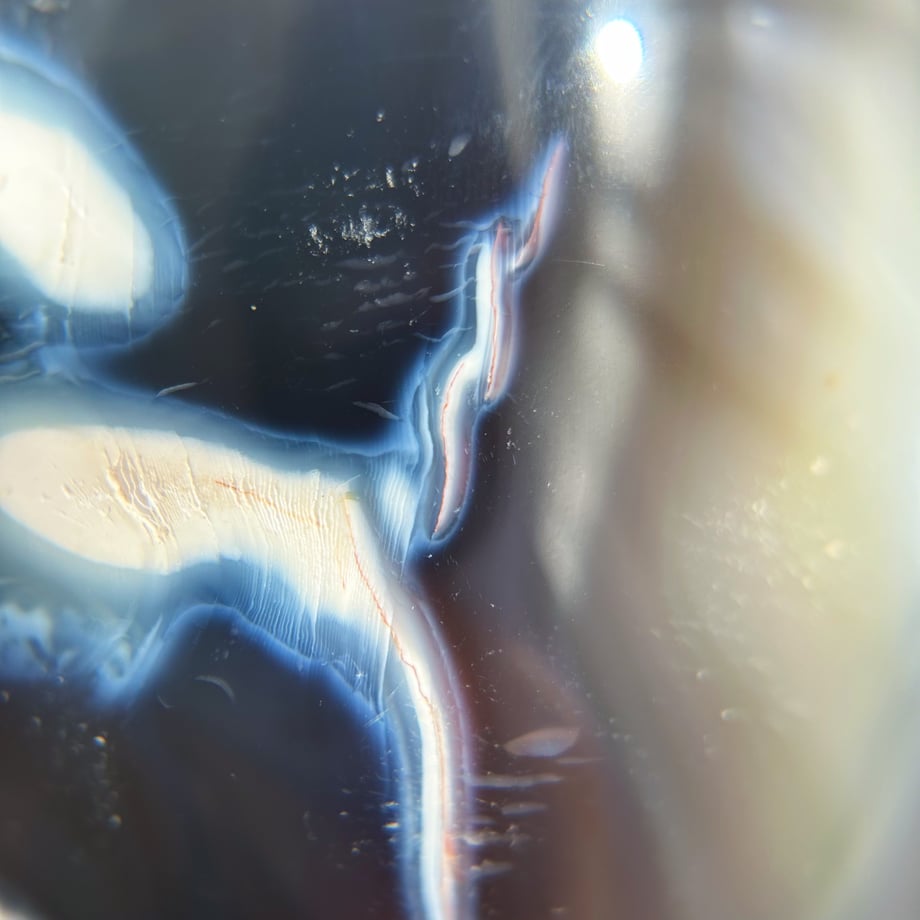 66e3dcbb07d2c4018aa7dd68
