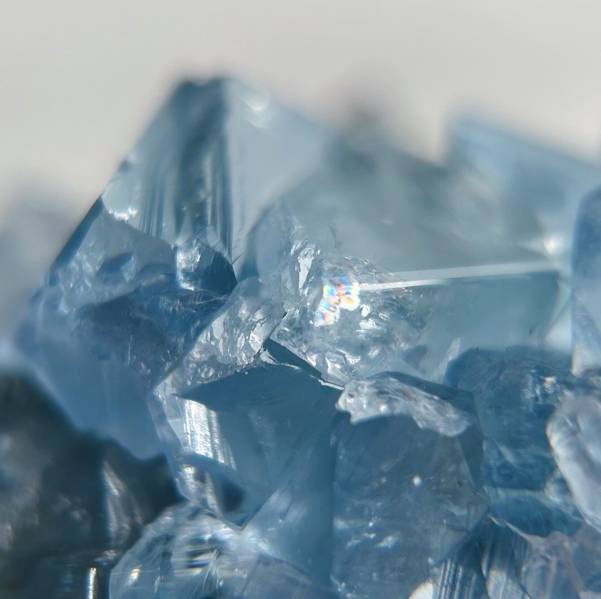 虹入り】セレスタイト原石(1) | NEROLI CRYSTAL