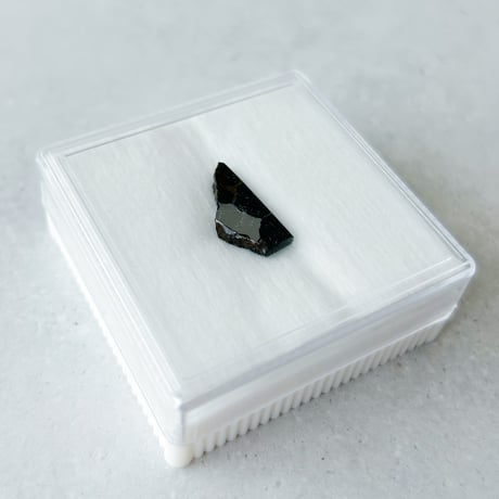 セリコ隕石/石鉄隕石/パラサイト