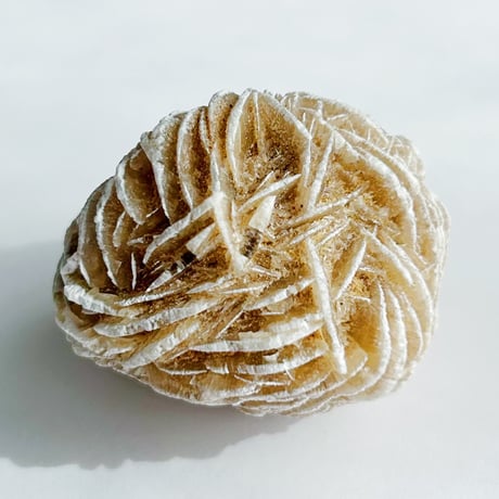 デザートローズ 新品未使用 デザートローズ | STORES