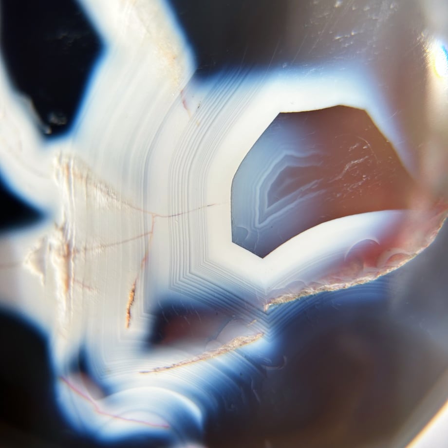 66e3dcbb07d2c4018aa7dd68