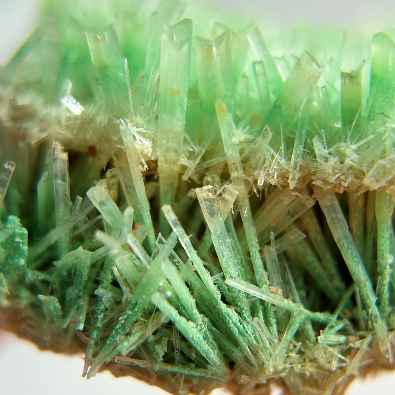 40g ジプサム 世界に一つだけの結晶野郎ジプサム 鉱物標本 美品 ジプサム/