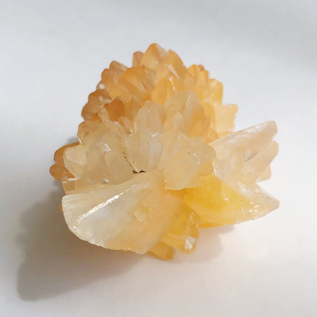 ガーネット 付き クラスター カルサイト cr-10.jpg