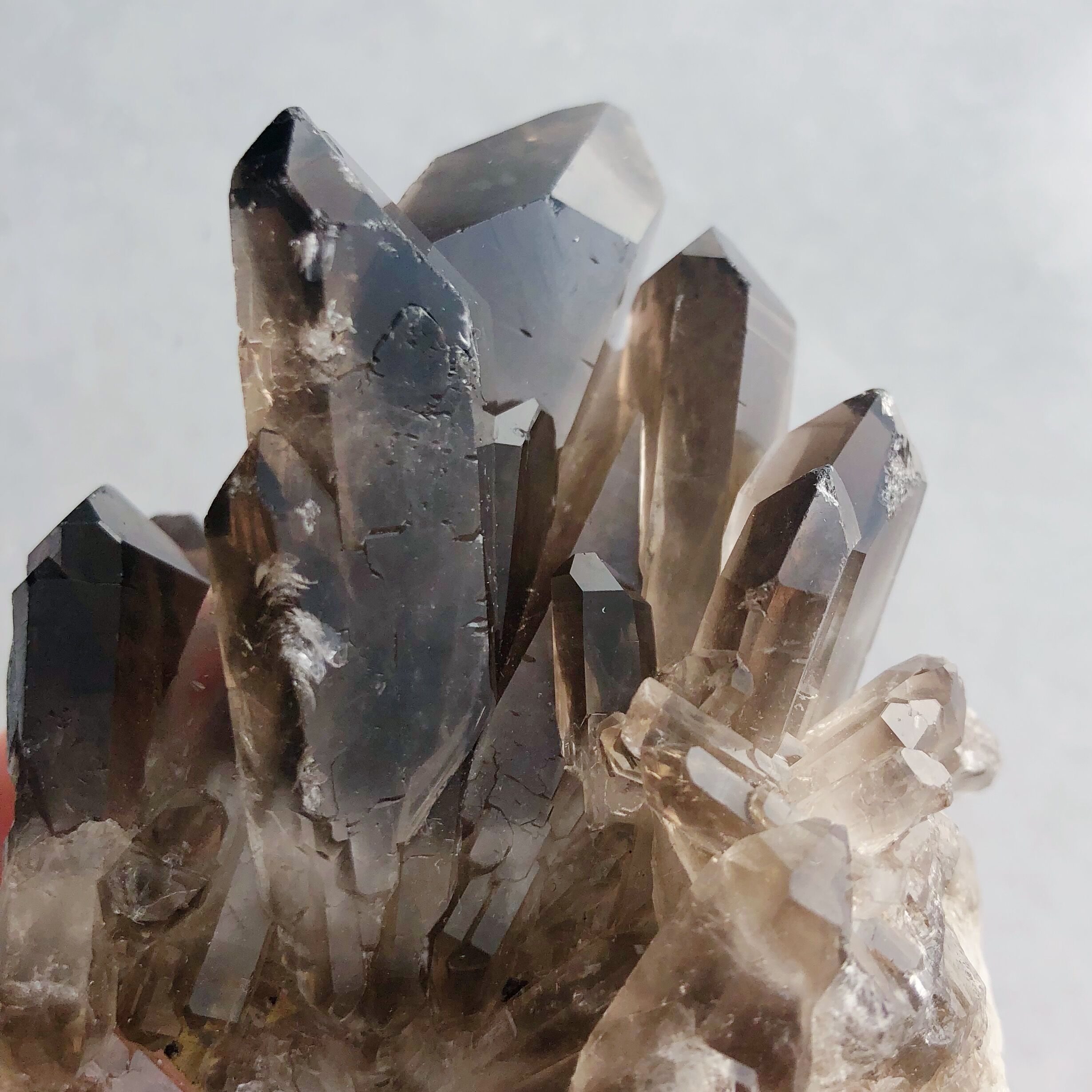 スモーキークォーツ クラスター | NEROLI CRYSTAL