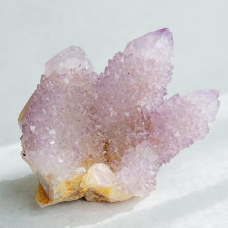 トライゴーニック | STORES