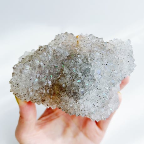 アナンダライト | STORES