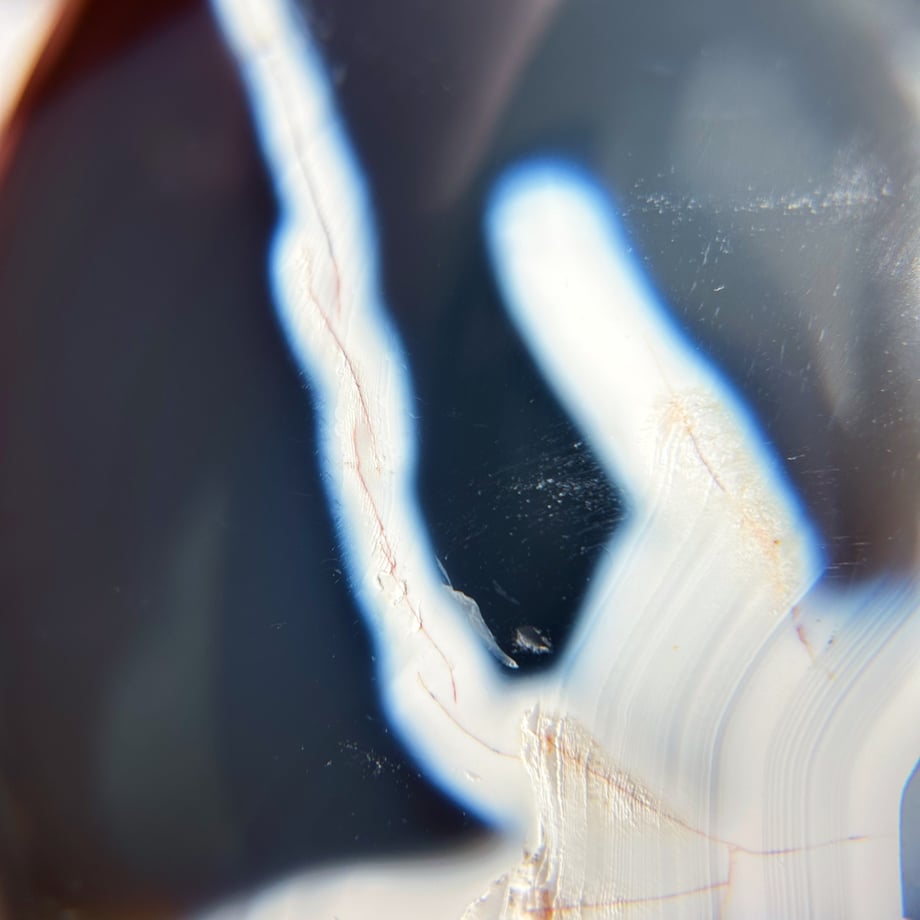 66e3dcbb07d2c4018aa7dd68