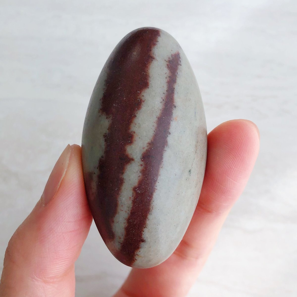 特大 希少価値‼️シバリンガム 特大 希少価値‼️シバリンガム