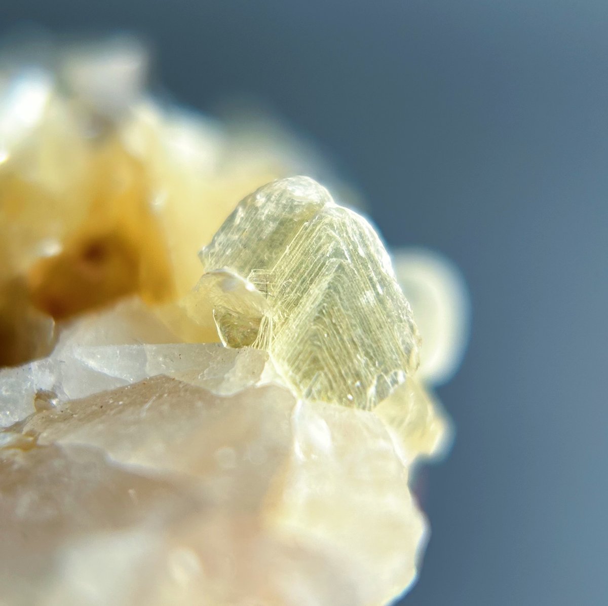 スターマイカ×クォーツ 共生鉱物 | NEROLI CRYSTAL