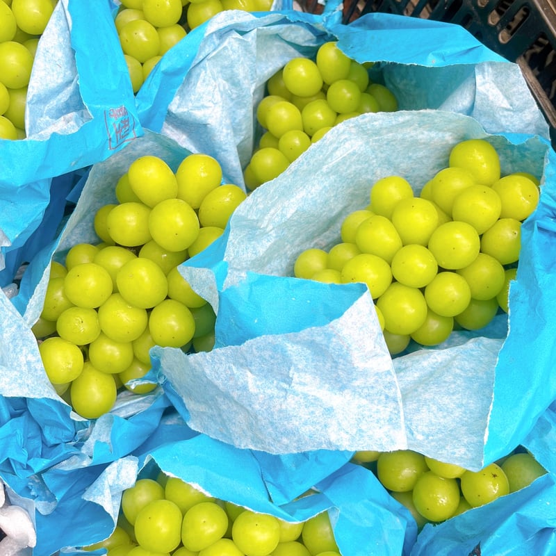 シャインマスカット 2房1箱 7月下旬以降順次発送 | FRUITSGARDEN虹色 STORE