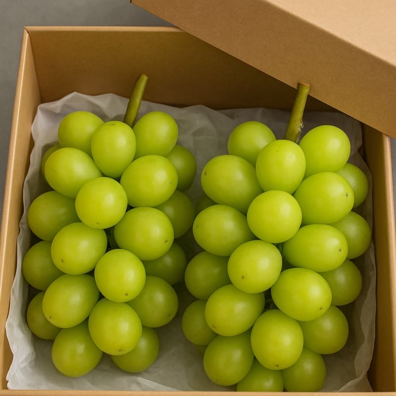 シャインマスカット 2房1箱 7月下旬以降順次発送 | FRUITSGARDEN虹色 STORE