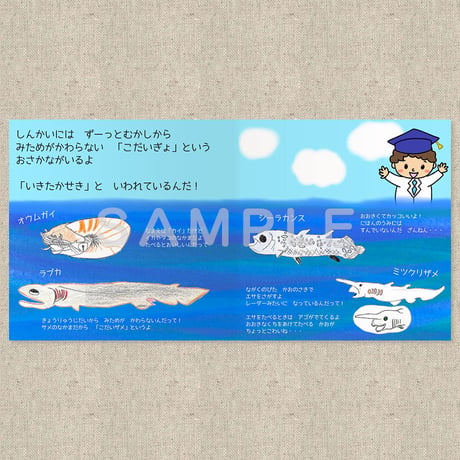 うみのなかはどんなところ（絵本）