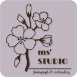 ms'STUDIO_ STORE