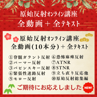 【視聴/ダウンロード】原始反射オンライン講座全動画＋全テキスト