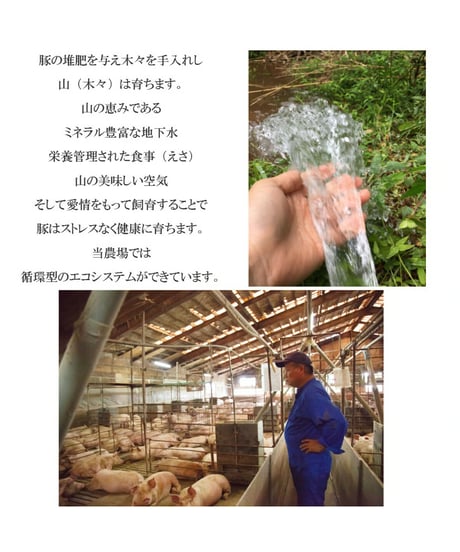 ミミブロック(1個350～450g）　ミミガー　冷凍便　ご自宅用