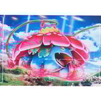 中国版ポケモンカード リザードン プレイマット | Cardshop Kenzo