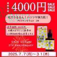 送料無料 定期便】4種のビタミンC誘導体配合 PVスキンセラムV