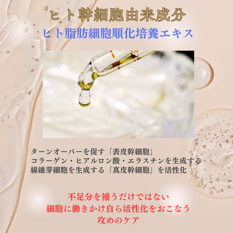 ＜男女兼用 美容液＞4種のビタミンC誘導体配合   PVスキンセラムV