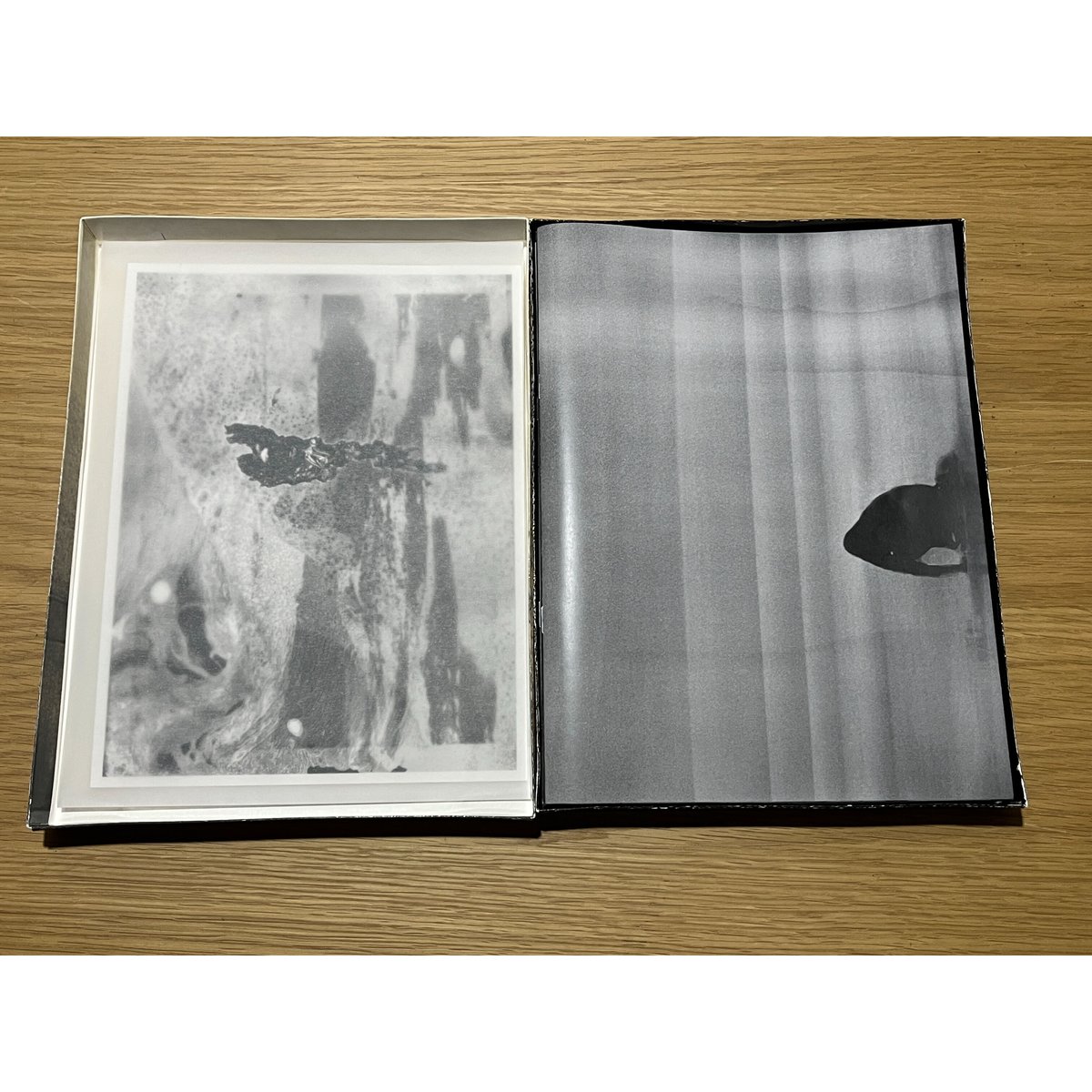 横田大輔　TORAANSUPEARENTO TORANSUPEARENTO Poster Daisuke Yokota 横田大輔 - Newfave