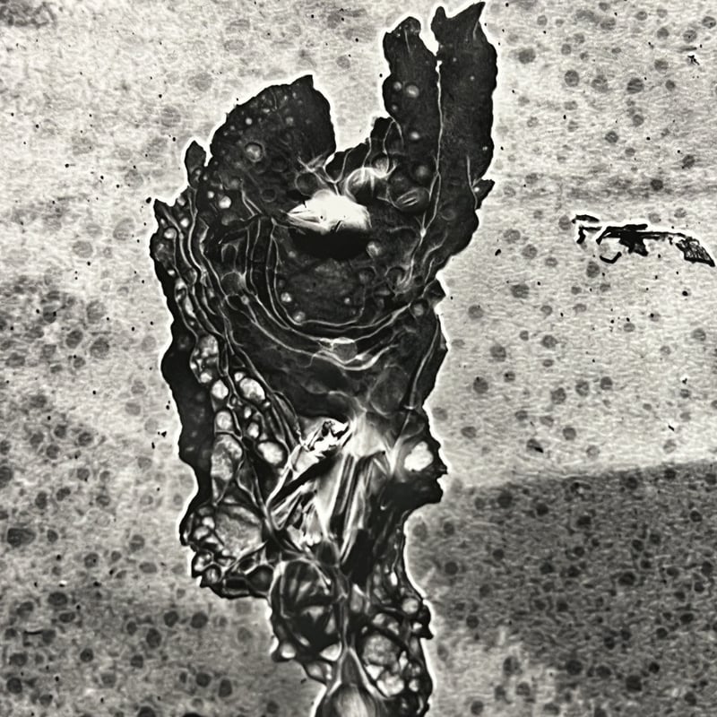 Untitled #2 SP Edition -Daisuke Yokota 横田大輔 | F