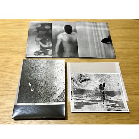 【サイン入り美品】横田大輔　TOWARDS TO THE NORTH 明日19日より/ 横田大輔 写真展 「植物、多摩川中流域」 11月19日（水