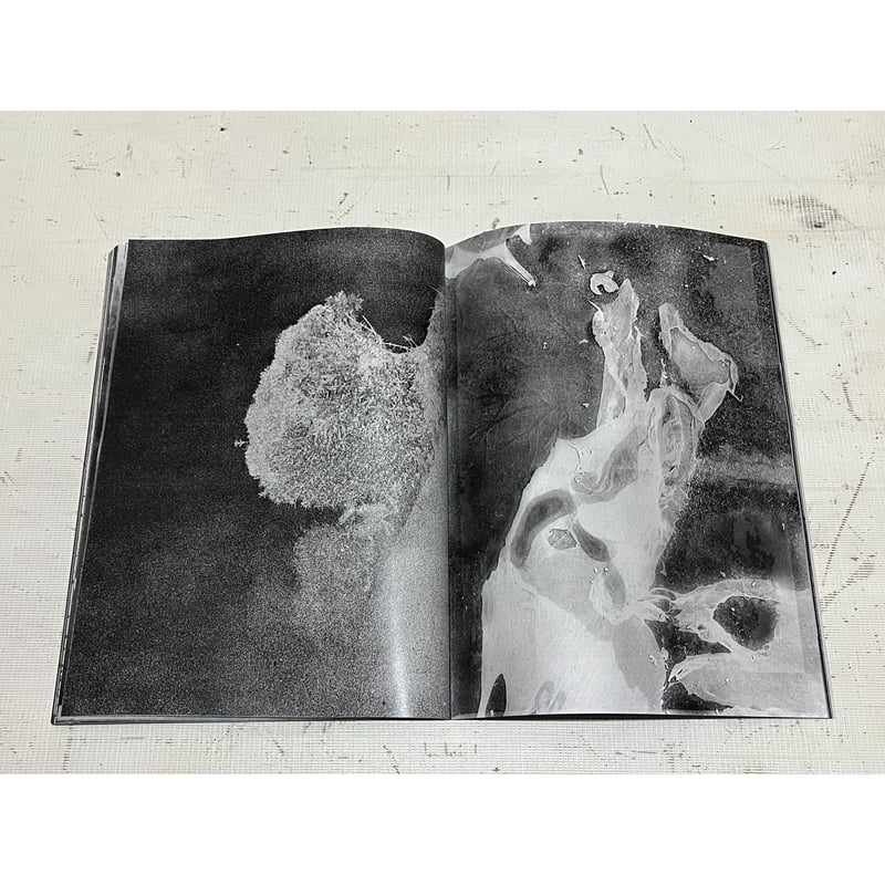 Untitled #3 -Daisuke Yokota 横田大輔 | FancyshopDri