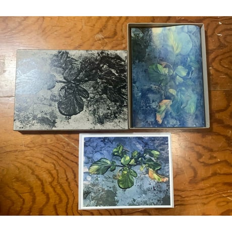 横田大輔 Daisuke Yokota, Corpus サイン入り サイン本】Untitled #3 by Daisuke Yokota（横田大輔） 横田大輔