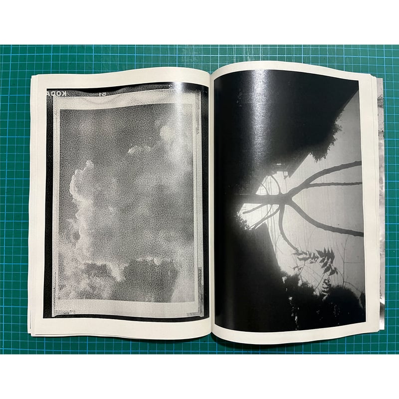 Matter 2024 -Daisuke Yokota 横田大輔 | FancyshopDri