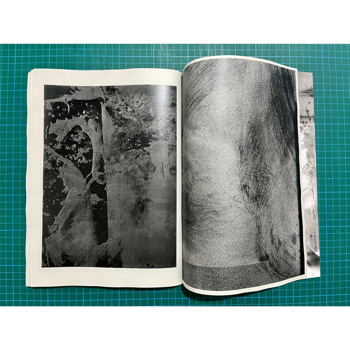 Matter 2024 -Daisuke Yokota 横田大輔 | FancyshopDri