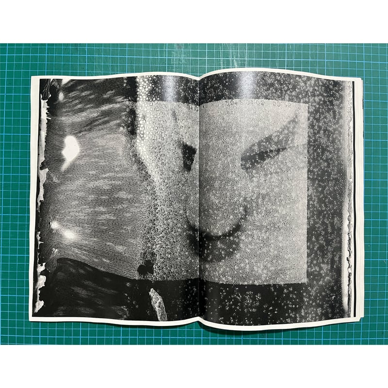 CORPUS 横田大輔　Daisuke Yokota CORPUS - Daisuke YOKOTA | shashasha - Photography & art in books