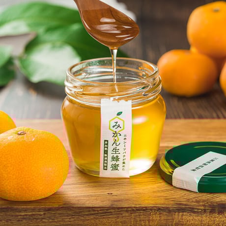 ☆希少！ニホンミツバチ1.4キロ☆ 23~Ninja ZX-4R SE/RR (8BL-ZX400P) POWERBOX パイプ ｜SP忠男