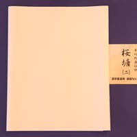 半切  10枚入