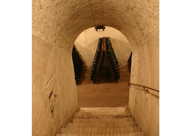 シャンパーニュ シャンパーニュ】 C（セー）／ Last:order original | ハンディ