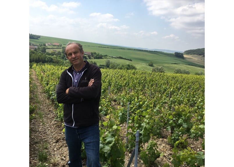 シャンパーニュ】 C（セー）／ Last:order original | ハンディ