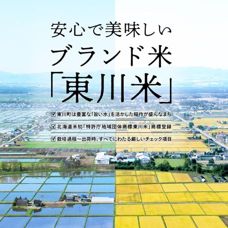 【令和7年産】東川米 ゆめぴりか - 白米・５kg×２袋 -